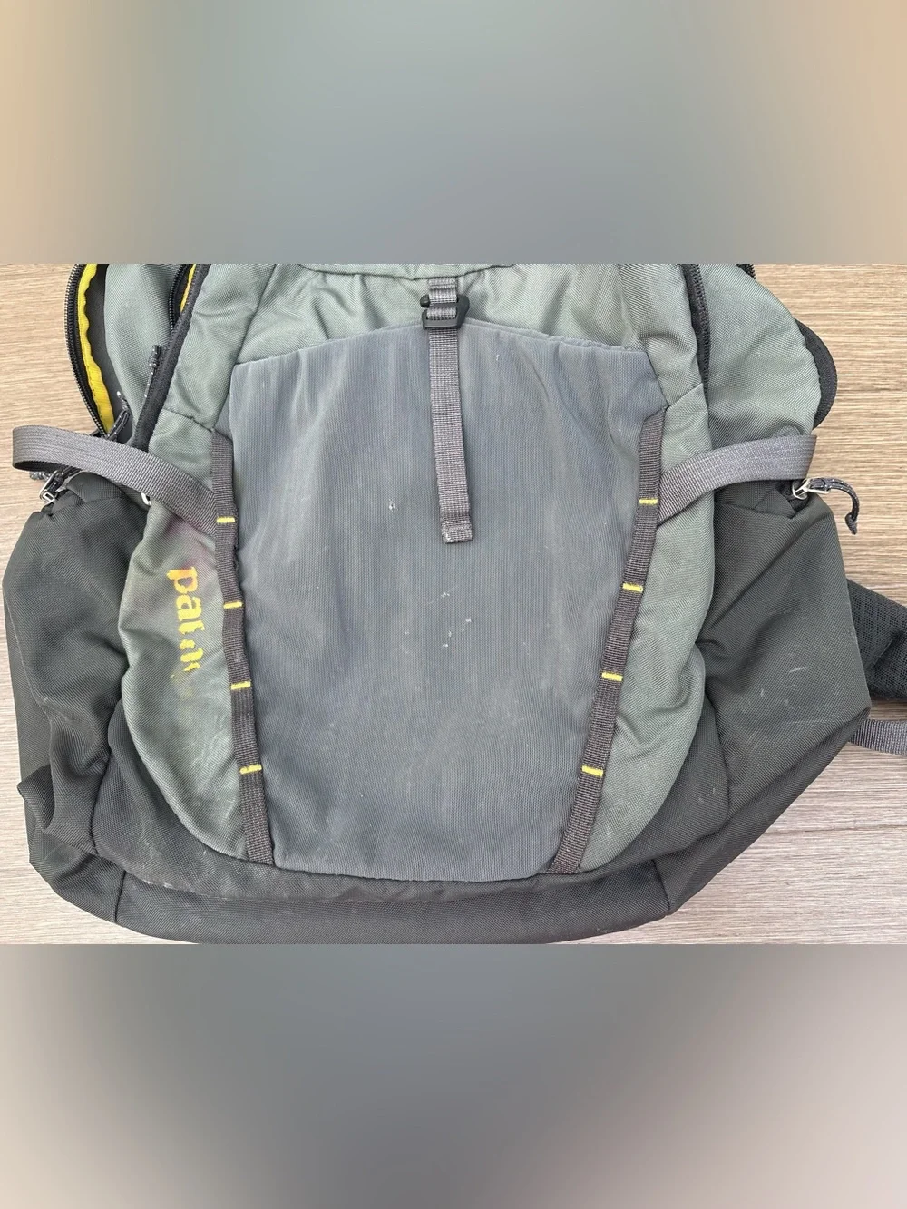 Patagonia Gray Backpack